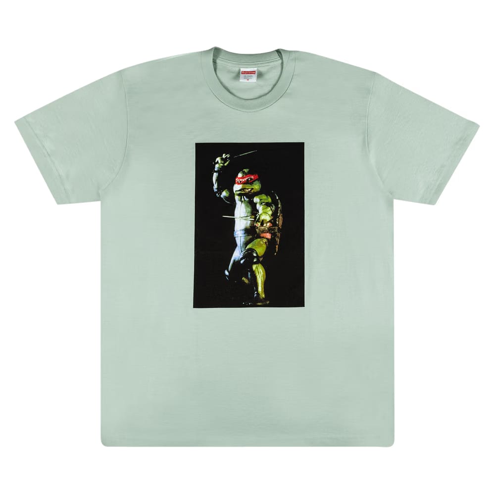 Supreme Raphael T-Shirt Pale Aqua