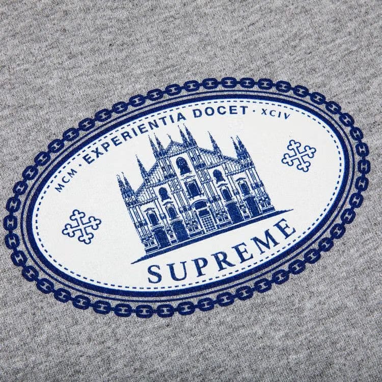 Supreme Experientia T-Shirt Heather Grey
