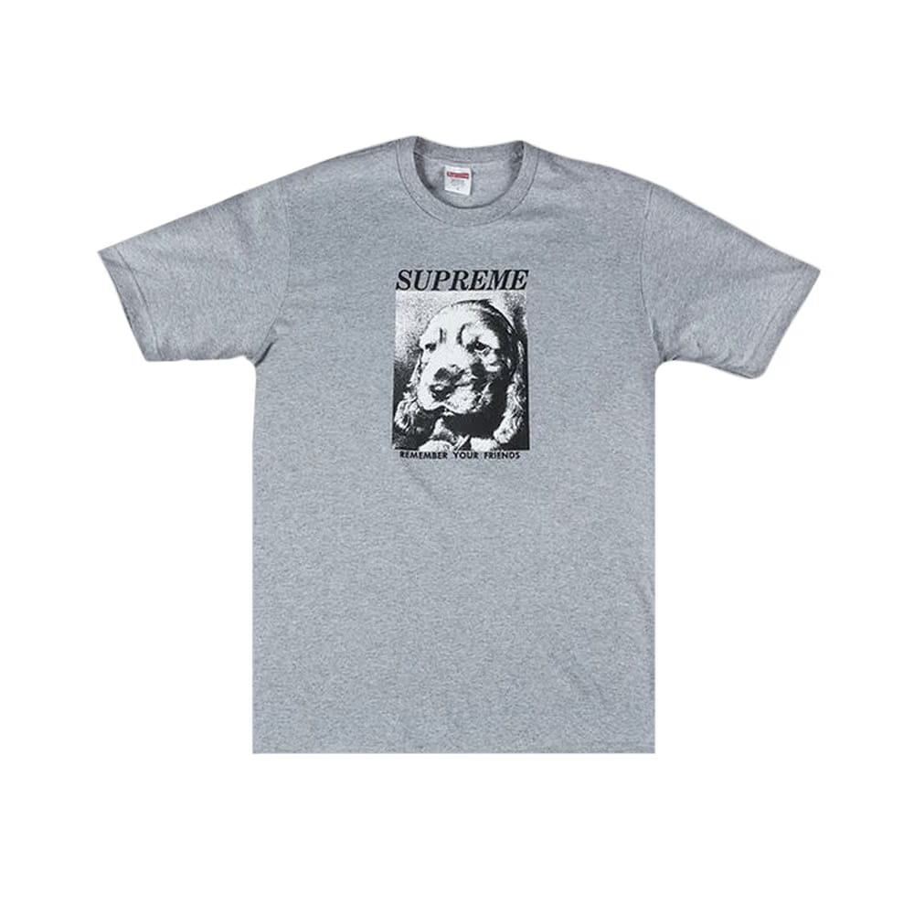 Supreme Remember T-Shirt Grey