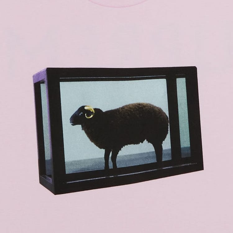 Supreme x Damien Hirst T-Shirt Light Pink