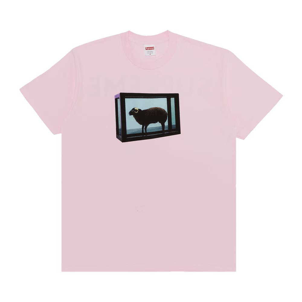 Supreme x Damien Hirst T-Shirt Light Pink