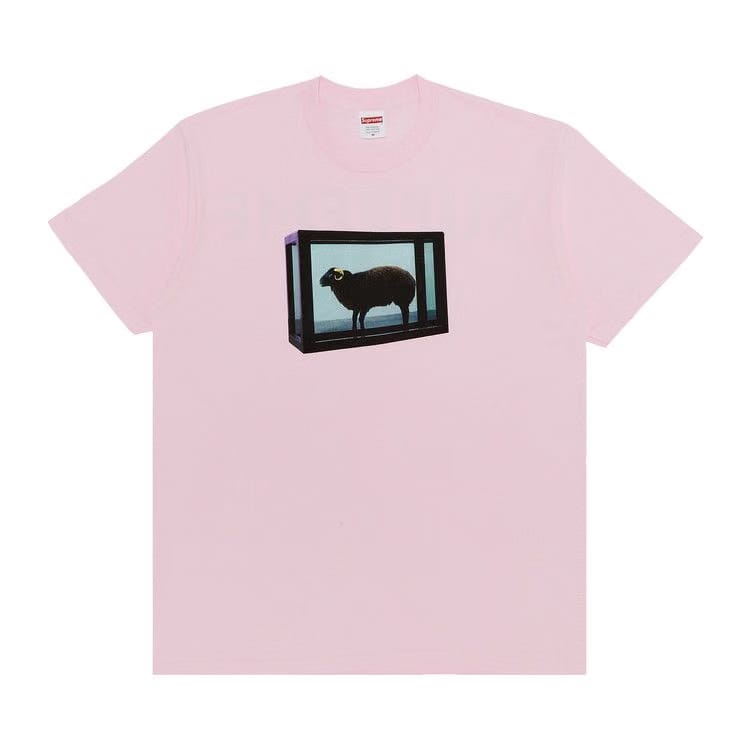 Supreme x Damien Hirst T-Shirt Light Pink