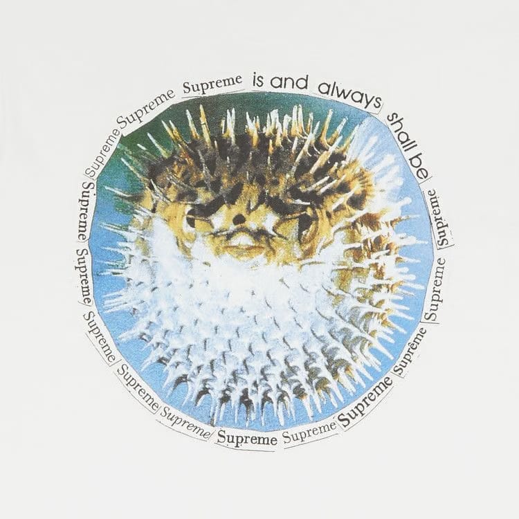 Supreme Blowfish T-Shirt White