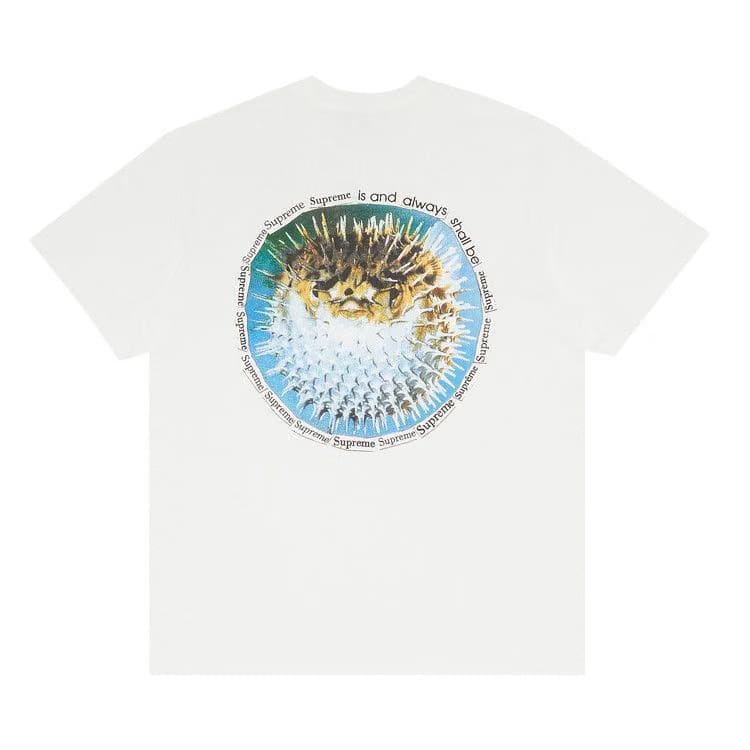 Supreme Blowfish T-Shirt White