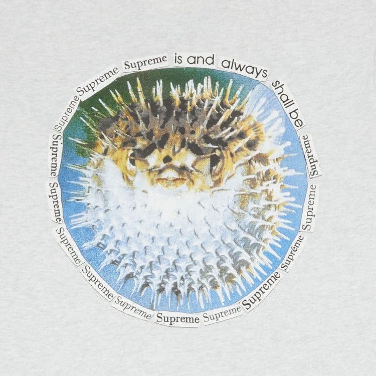Supreme Blowfish T-Shirt Ash Grey