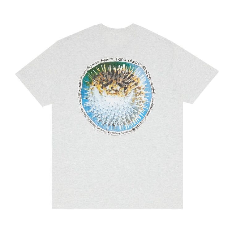 Supreme Blowfish T-Shirt Ash Grey