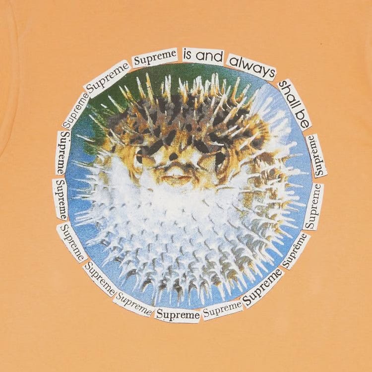 Supreme Blowfish T-Shirt Peach