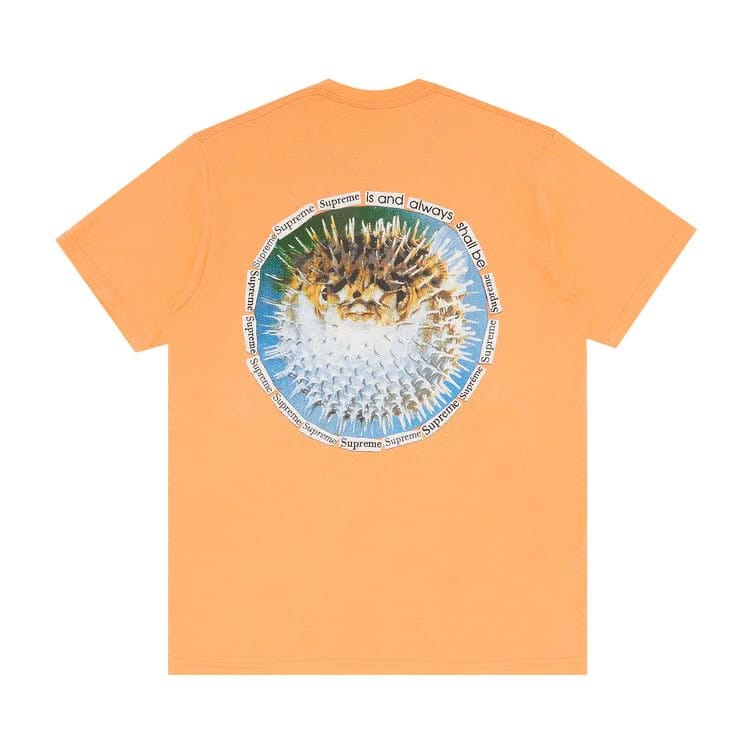 Supreme Blowfish T-Shirt Peach