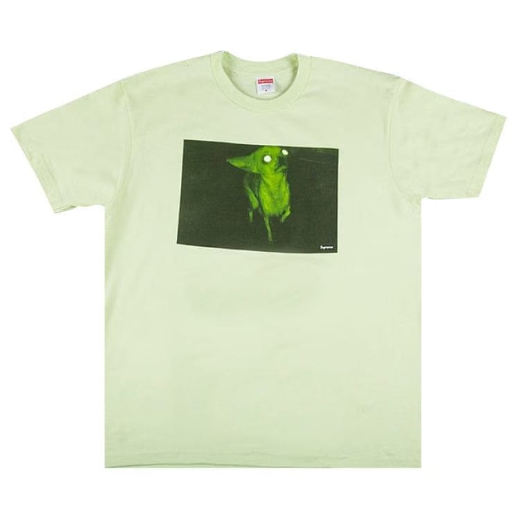 Supreme Chris Cunningham Chihuahua T-Shirt Pale Mint