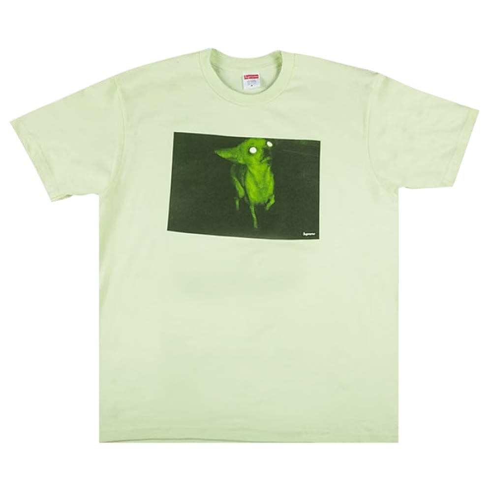 Supreme Chris Cunningham Chihuahua T-Shirt Pale Mint