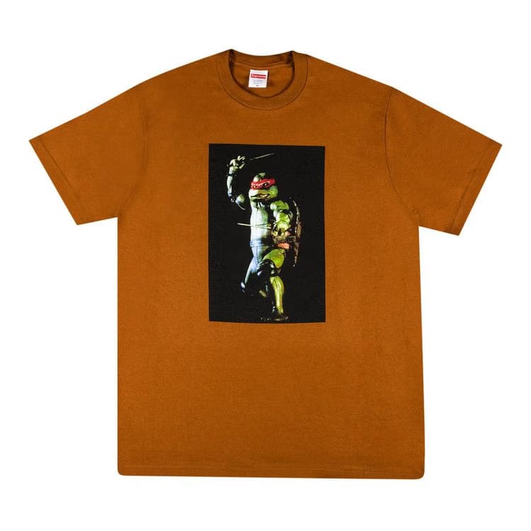 Supreme Raphael T-Shirt Brown