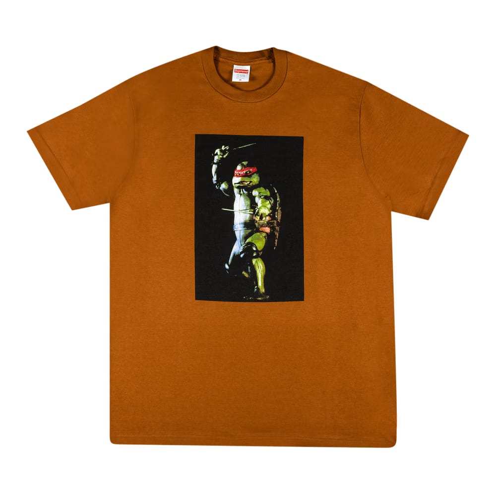 Supreme Raphael T-Shirt Brown