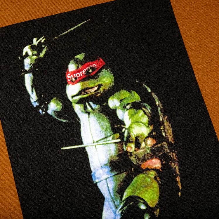 Supreme Raphael T-Shirt Brown