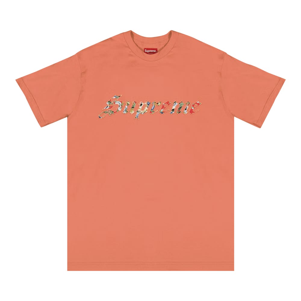 Supreme Floral Appliqué Shorts-Sleeve Top Coral
