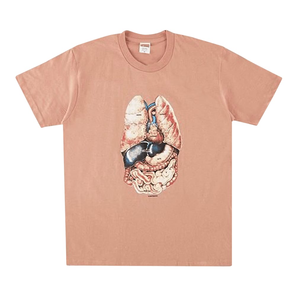 Supreme Guts T-Shirt Terra Cotta