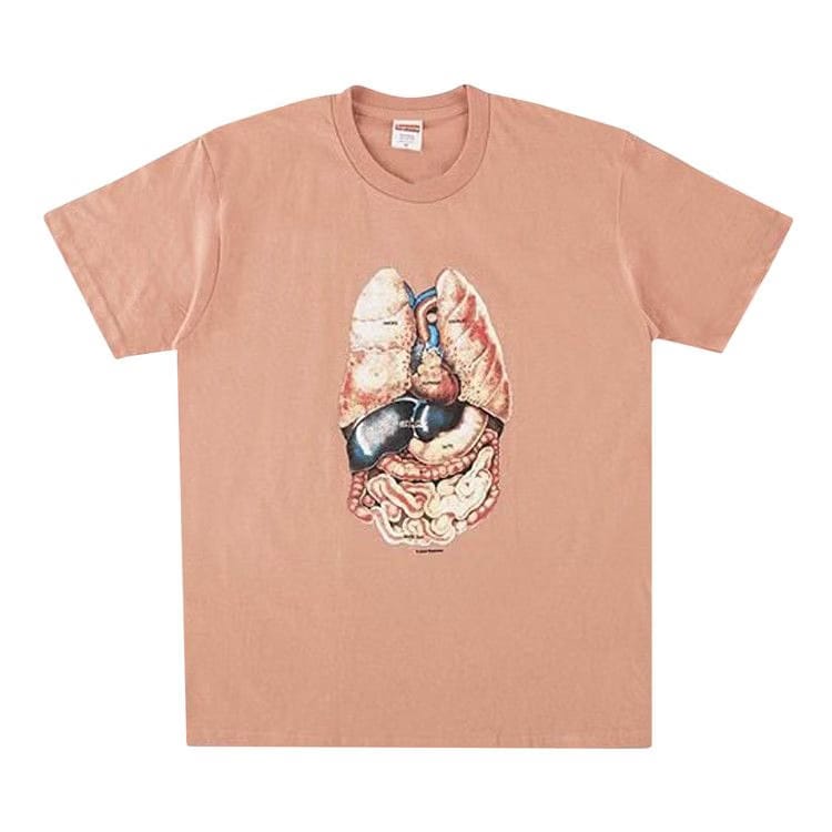 Supreme Guts T-Shirt Terra Cotta