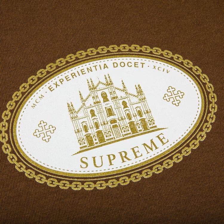 Supreme Experientia T-Shirt Brown