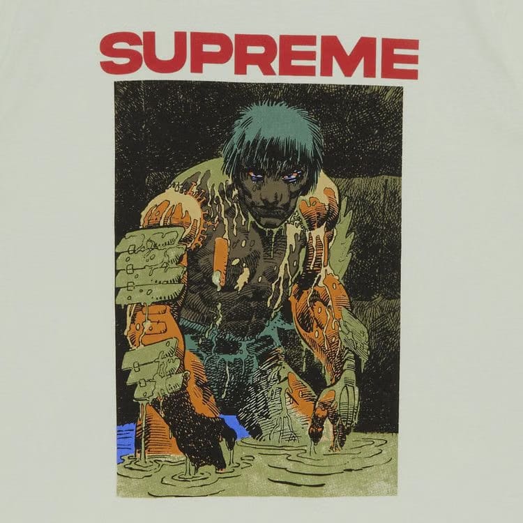 Supreme Ronin T-Shirt Pale Green