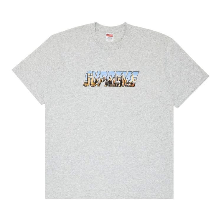 Supreme Gotham T-Shirt Ash Grey