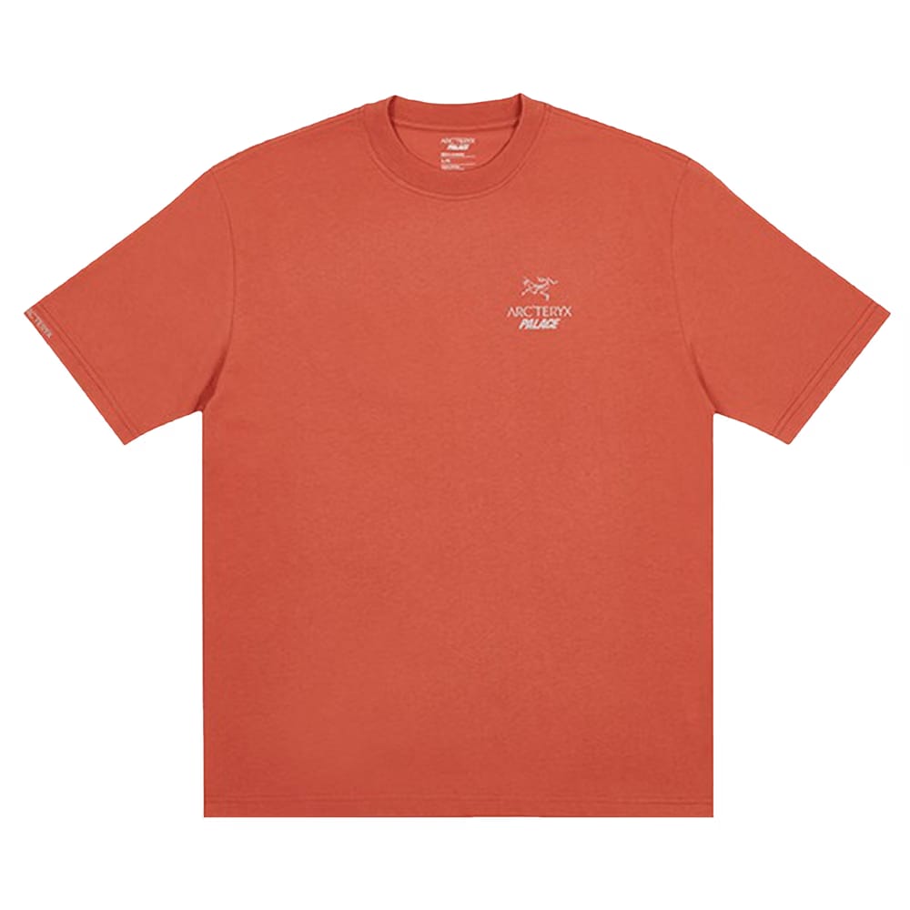Palace x Arc'teryx T-Shirt Ochre