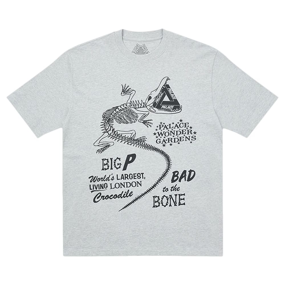 Palace Chomper T-Shirt Grey Marl