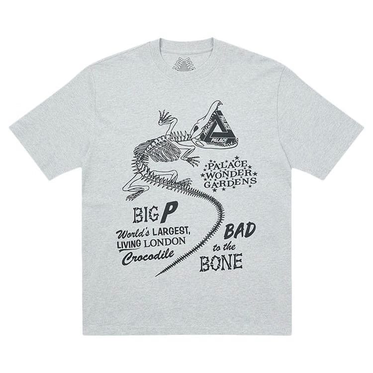 Palace Chomper T-Shirt Grey Marl