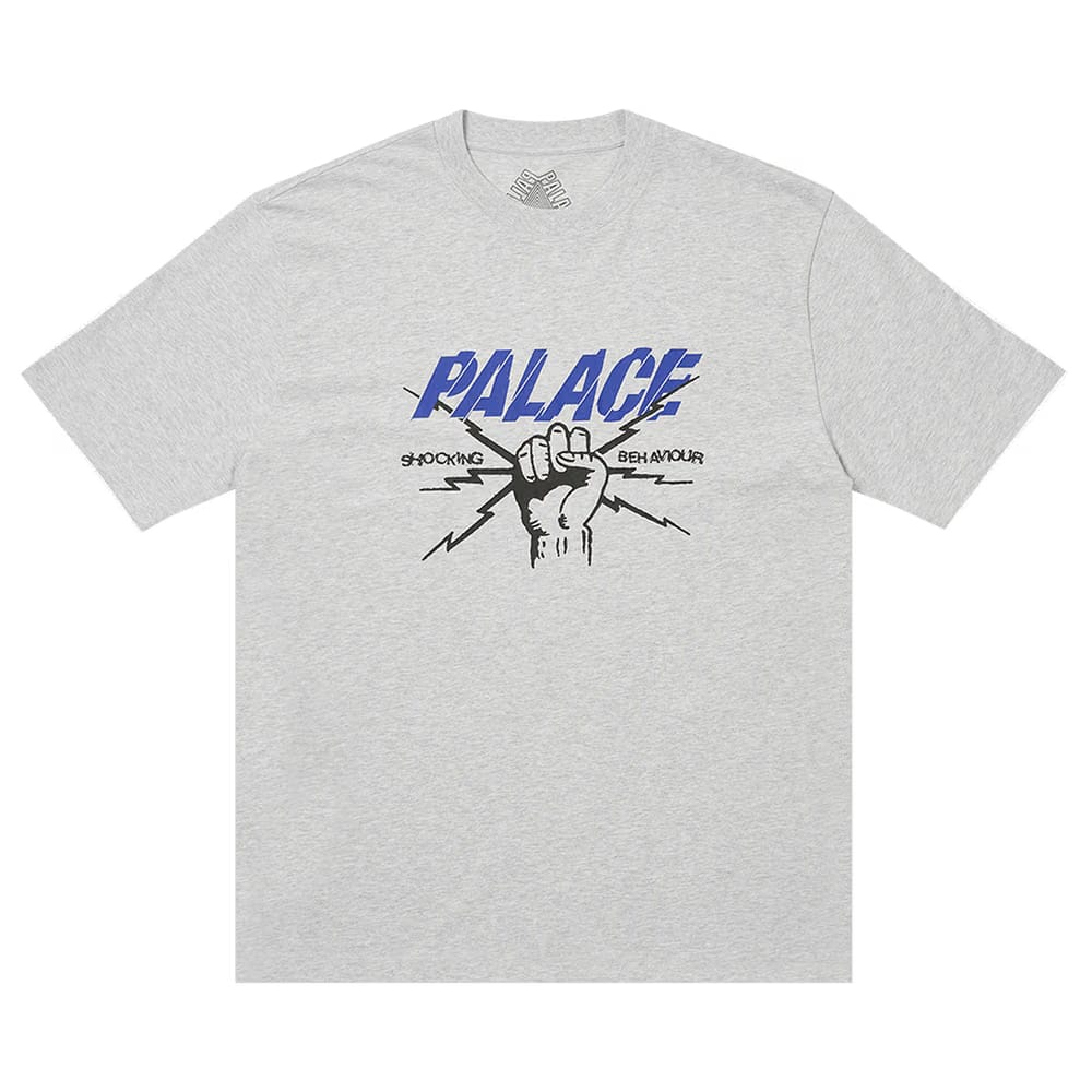 Palace Shocking Behaviour T-Shirt Grey Marl