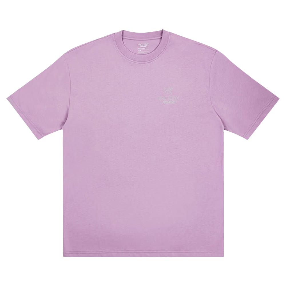 Palace x Arc'teryx T-Shirt Haze