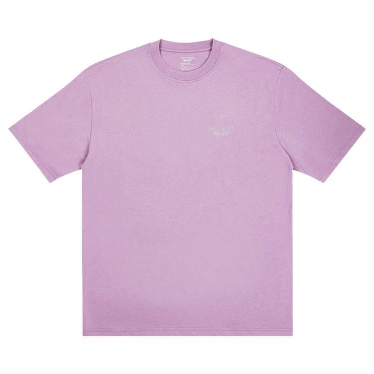 Palace x Arc'teryx T-Shirt Haze