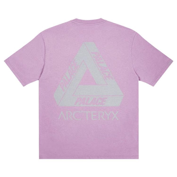 Palace x Arc'teryx T-Shirt Haze
