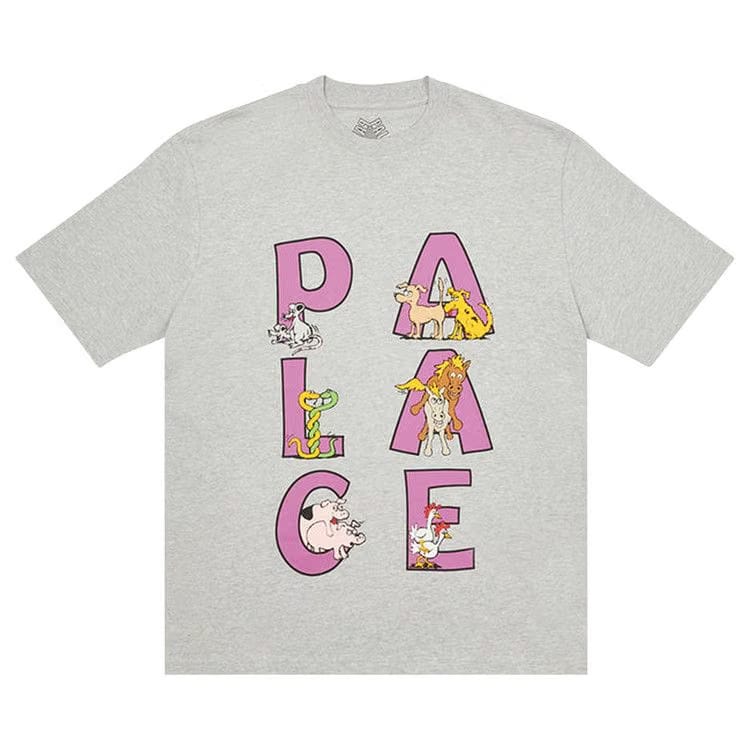 Palace Session T-Shirt Grey Marl