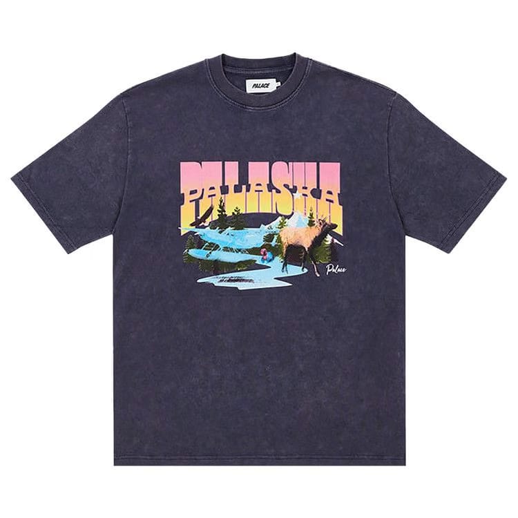 Palace Palaska Dye T-Shirt Purple