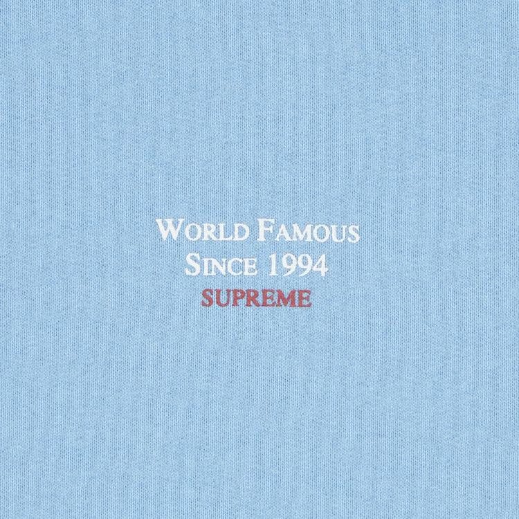 Supreme World Famous Micro Hoodie Light Blue