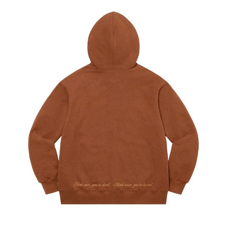 Supreme Aeon Flux Zip Up Hoodie Brown