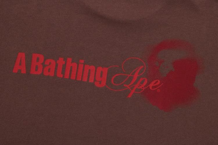 BAPE Water Print Logo Relaxed Fit T-Shirt Brown