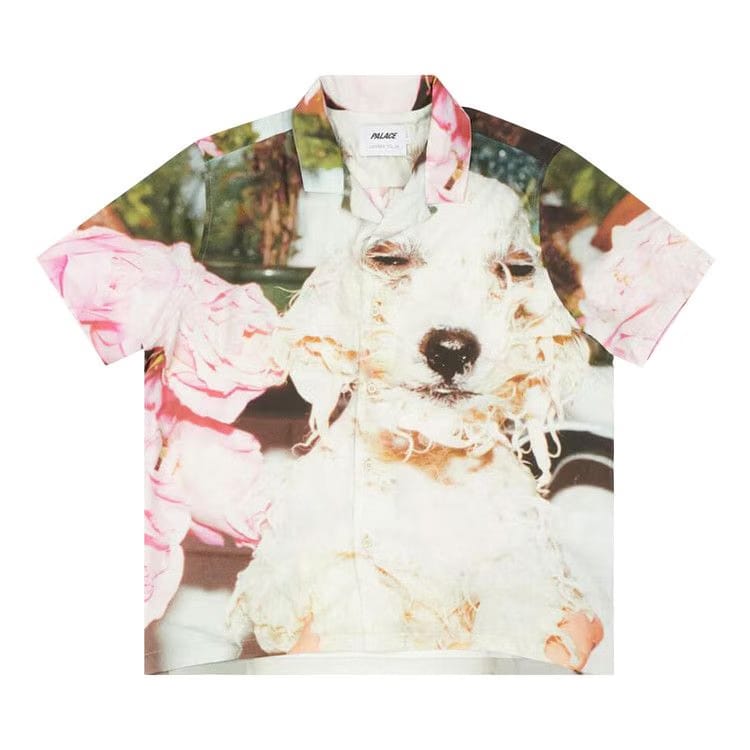 Palace Juergen Teller Shirt Multicolor