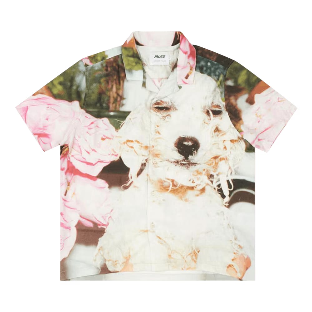 Palace Juergen Teller Shirt Multicolor
