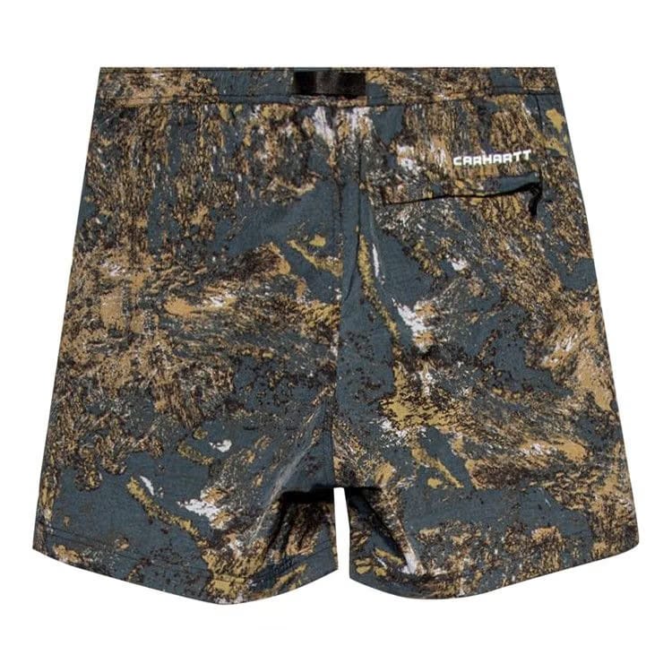 Carhartt WIP Terra Shorts Satelitte Print