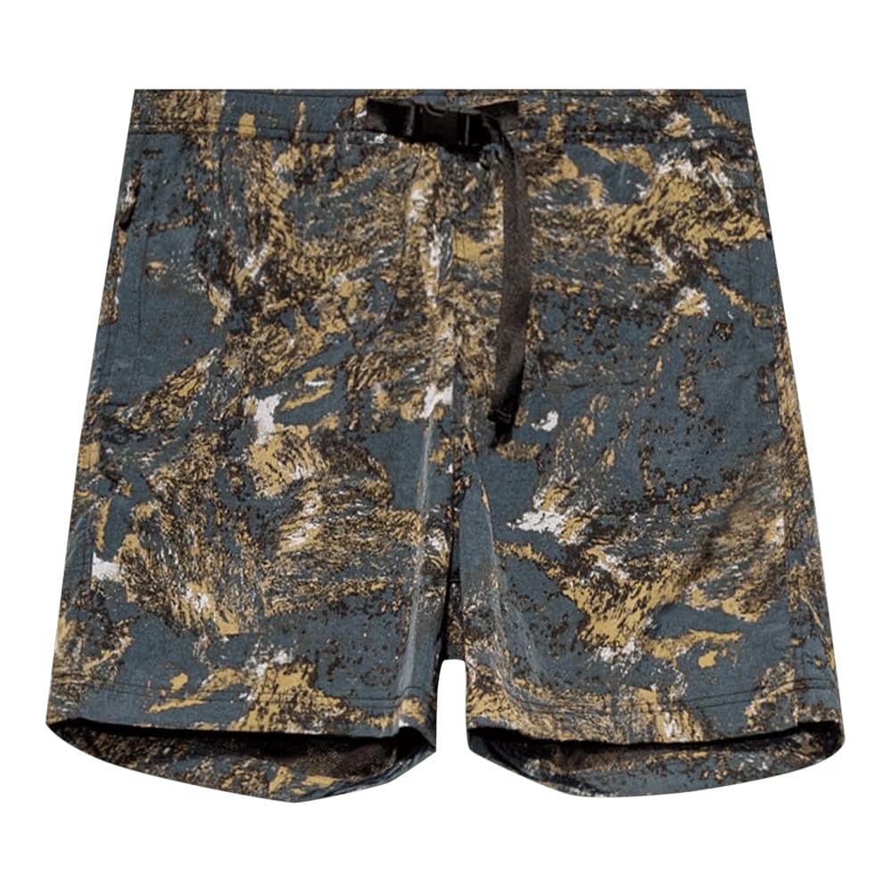 Carhartt WIP Terra Shorts Satelitte Print