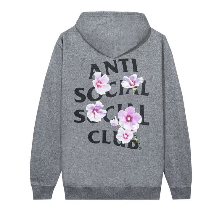 Anti Social Social Club x Case Study Flag Hoodie Grey