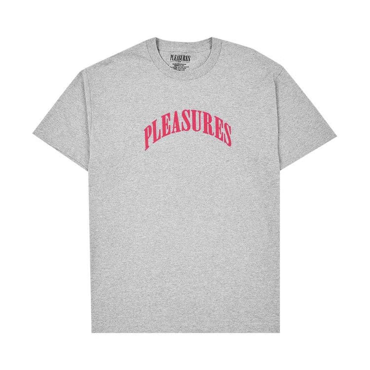 Pleasures Surprise T-Shirt Grey