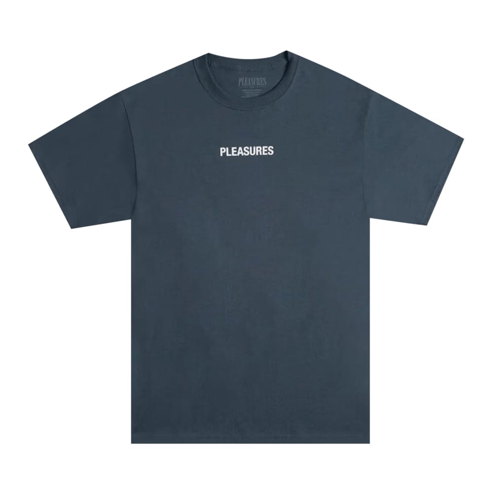 Pleasures Flying T-Shirt Slate