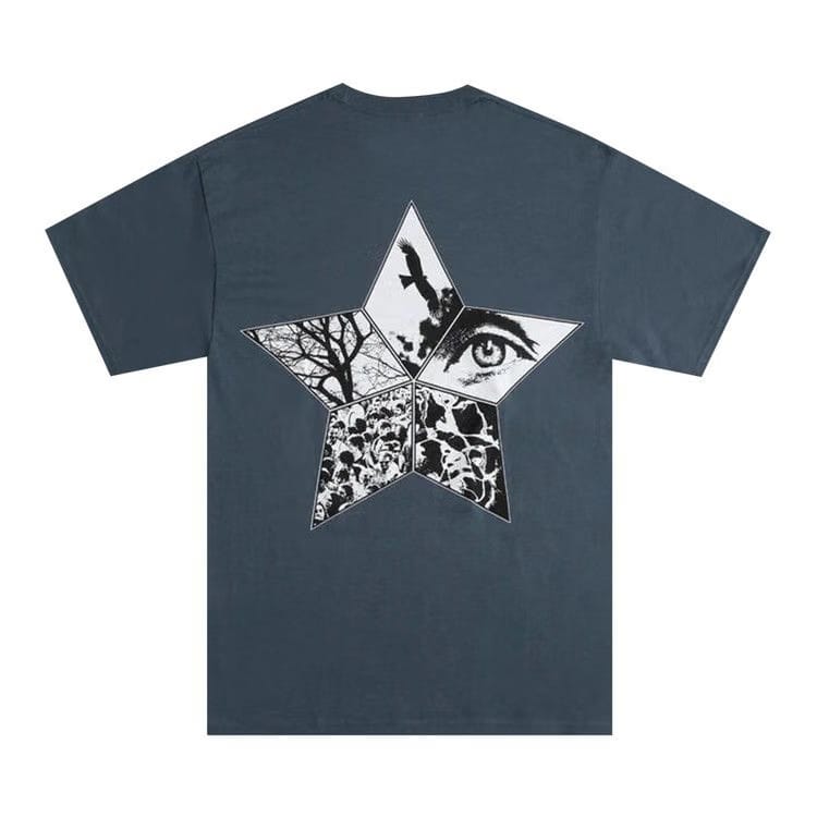 Pleasures Flying T-Shirt Slate