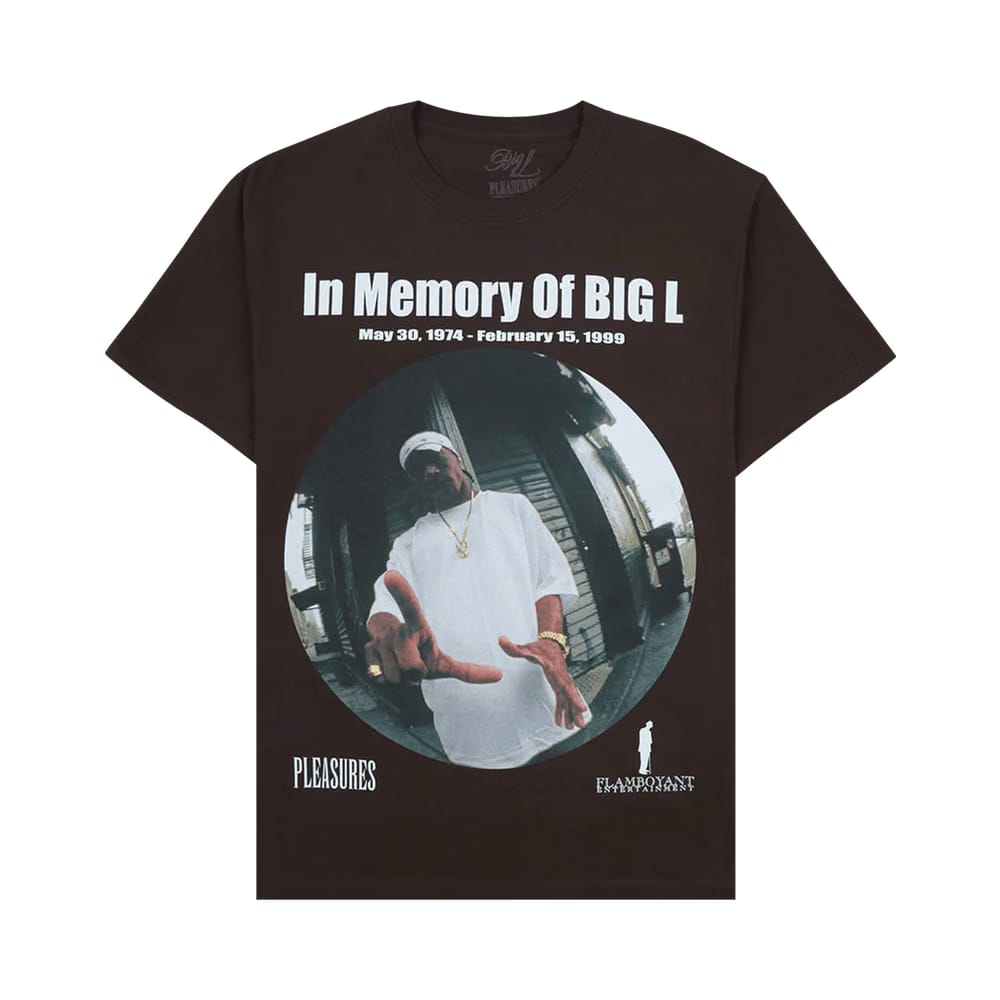 Pleasures In Memorty T-Shirt Brown