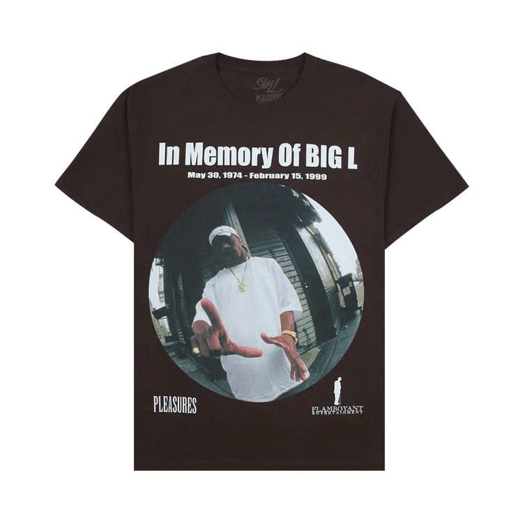 Pleasures In Memorty T-Shirt Brown