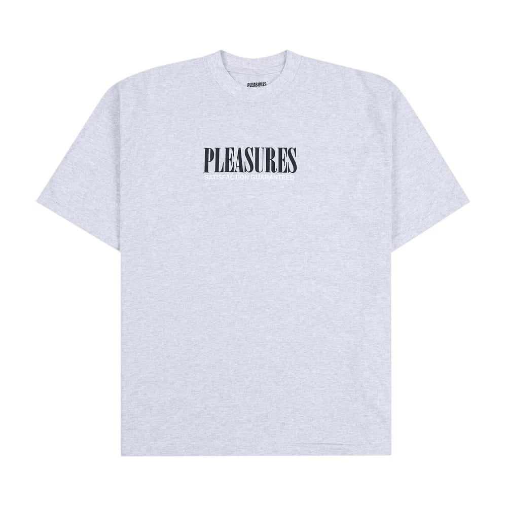 Pleasures Satisfaction T-Shirt Grey