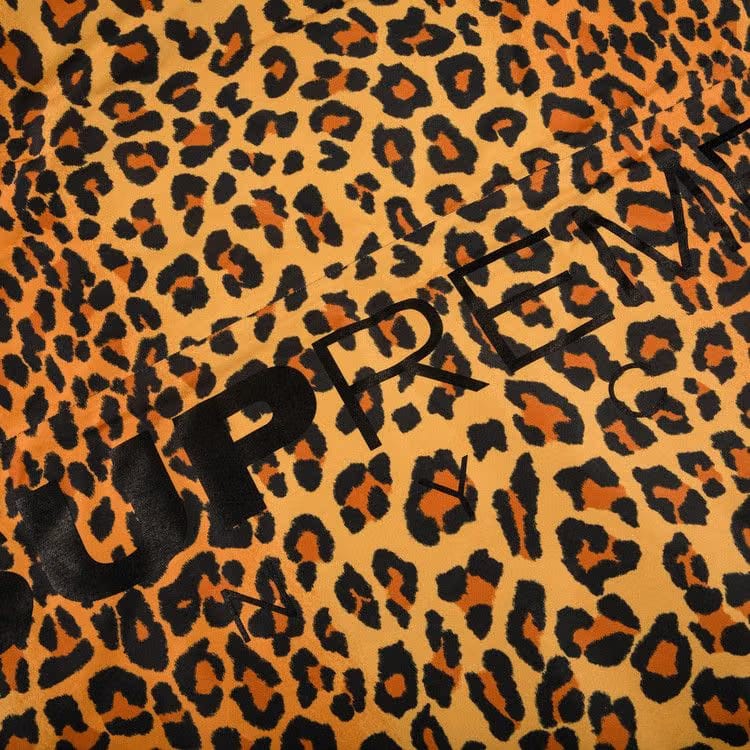 Supreme GORE-TEX 700-Fill Down Parka Leopard
