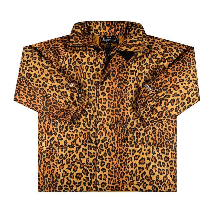 Supreme GORE-TEX 700-Fill Down Parka Leopard