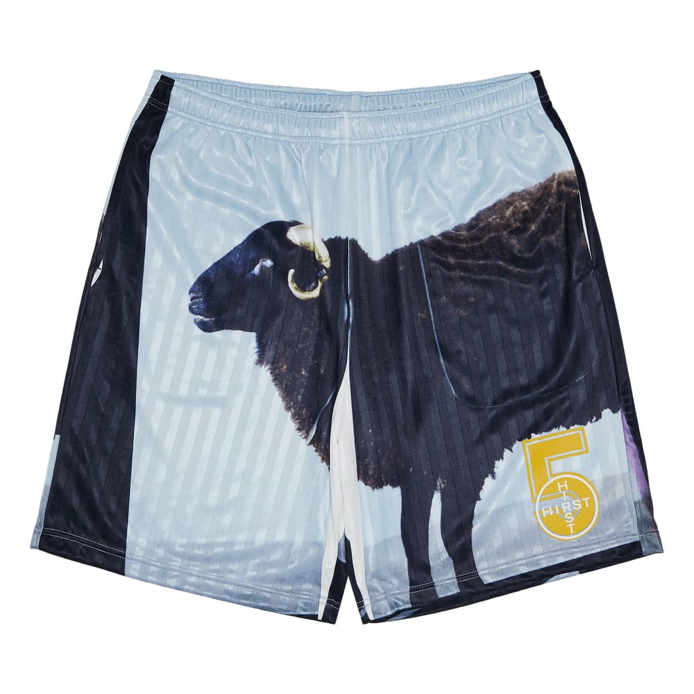 Supreme x Damien Hirst Soccer Shorts Black