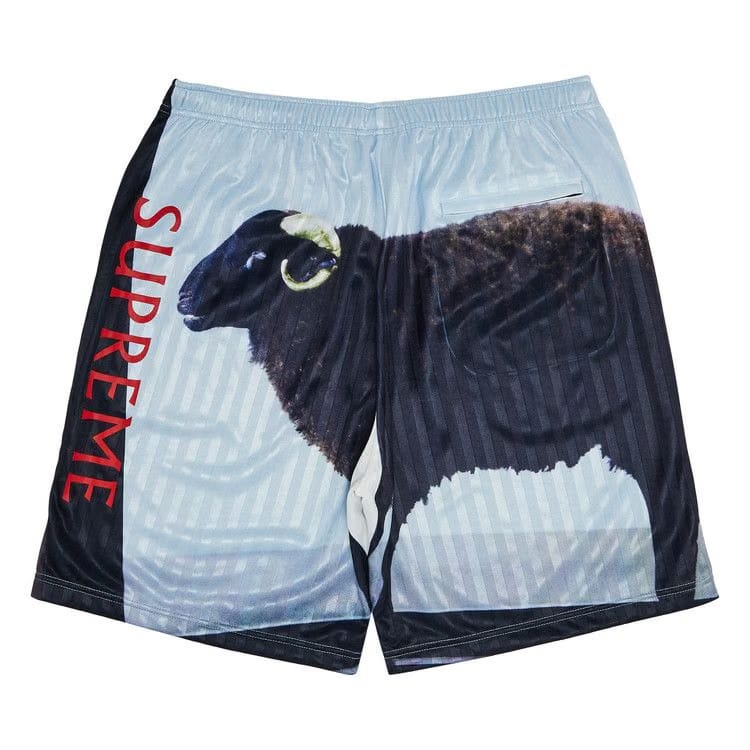 Supreme x Damien Hirst Soccer Shorts Black